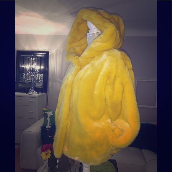 Totally luxurious! Brand new with tags! ZARA coat - Picture 1 of 7